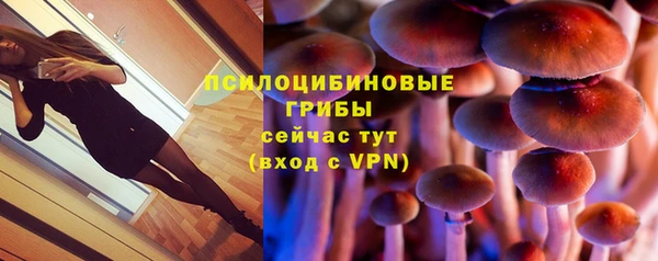 молекула духа Бородино