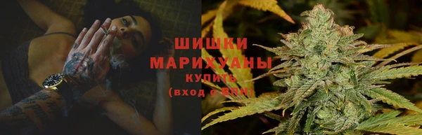 молекула духа Бородино