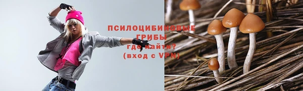 твердый Верхний Тагил
