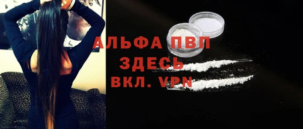 молекула духа Бородино