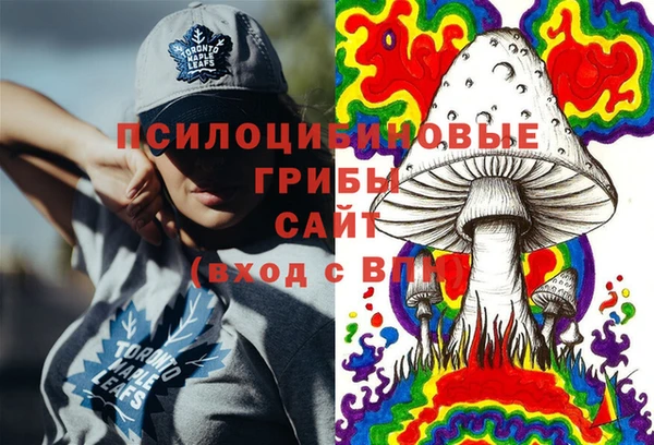 молекула духа Бородино