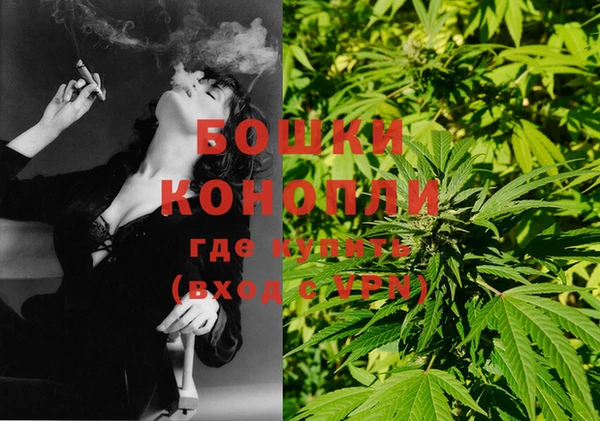 молекула духа Бородино