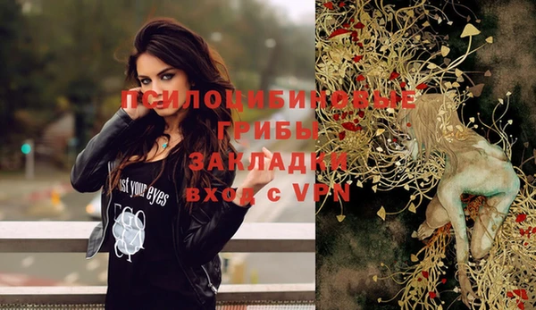 МДПВ Верея