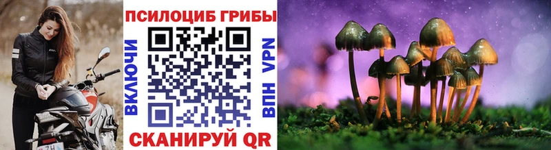 нарко площадка Telegram Грязовец Галлюциногенные грибы Magic Shrooms